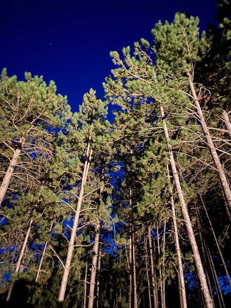 Domaine AbracadaRoom : La Parenthèse Dieulefit - Image 9