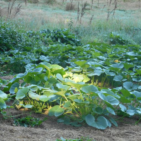 Domaine AbracadaRoom : Ekolobreizh - Image 5