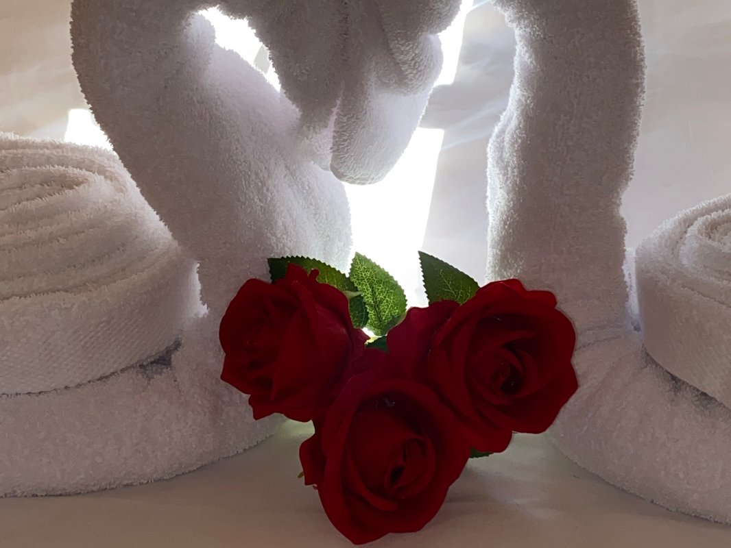 La Cabane Aéloria & Spa à Robiac-Rochessadoule (5)