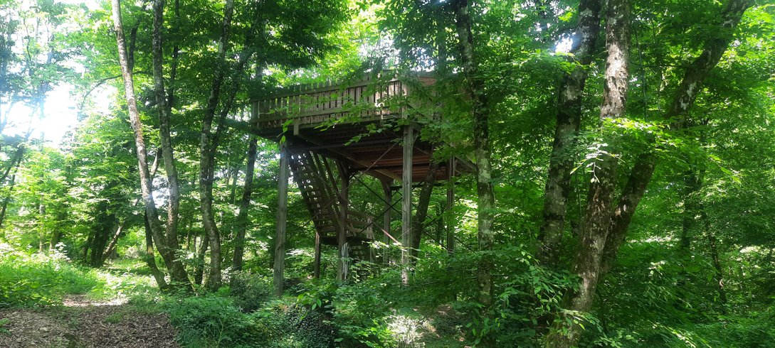 Domaine AbracadaRoom : Cabane de l'Augis nature - Image 1