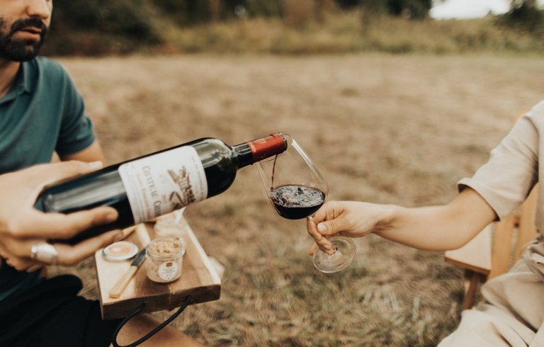 Domaine AbracadaRoom : Parcel Tiny House - dans les vignes de Saint-Émilion  proche Bordeaux - Image 12