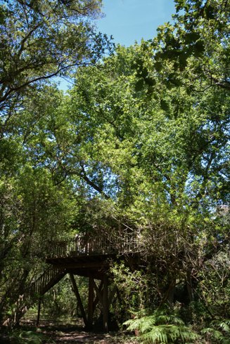 Hébergement AbracadaRoom : La Cabane Perchée d'Hossegor & Spa - Image 9