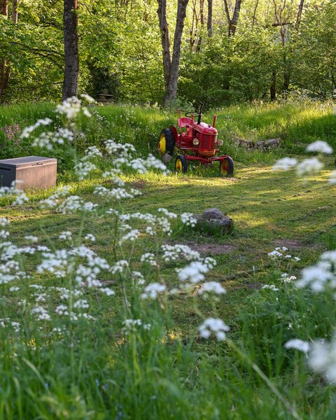 Domaine AbracadaRoom : Les Bulles d'herbe - Image 17