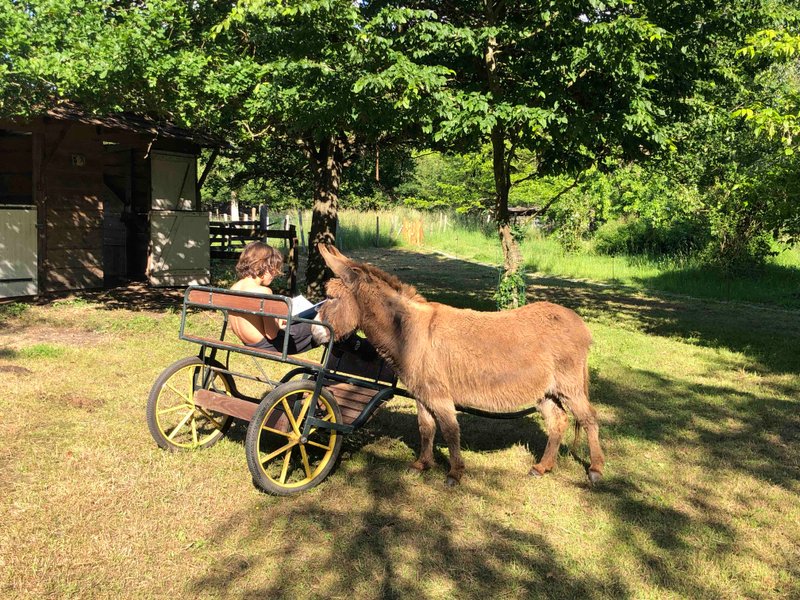 Domaine AbracadaRoom : O z'insolites - Image 3