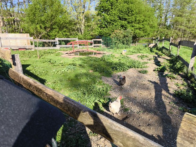 Hébergement AbracadaRoom : Kota finlandais - Le Moulin du Cheix - Image 10