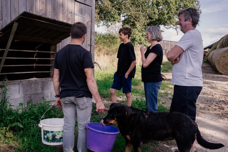 Domaine AbracadaRoom : Un Lit Au Pré -  La ferme de Penquelen - Image 13