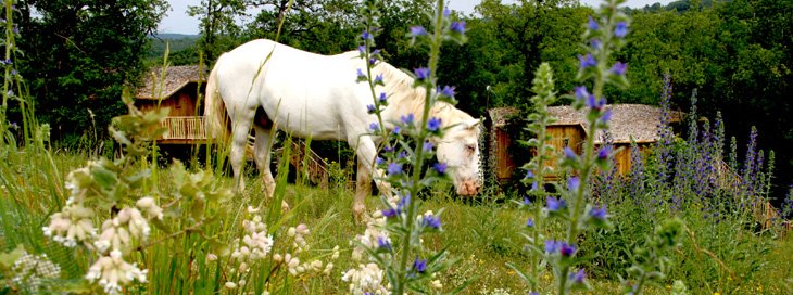 Domaine AbracadaRoom : Domaine Périgord Vacances - Image 6