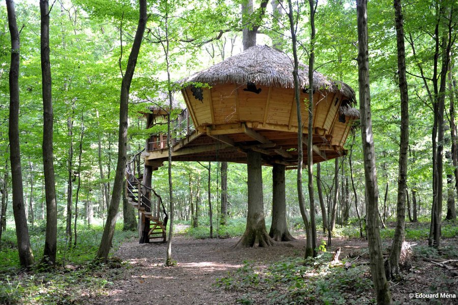 Robin des bois — photo 2