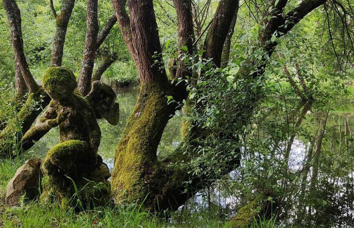 Dôme des Songes & Spa : Dôme en Bretagne