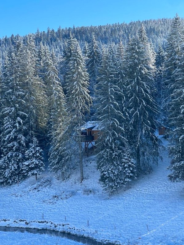 Cabane La Cébriot & Spa & Sauna à Petite Chaux (12)