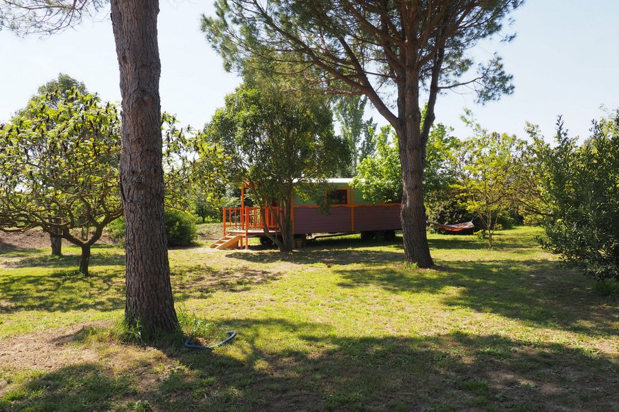 exterieur_roulotte_alpilles_domaine_rhodes
