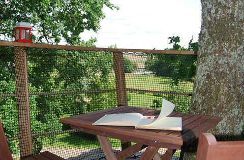 Hébergement AbracadaRoom : Dam'oiseaux - Image 12