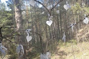 Bulle Alpes-de-Haute-Provence