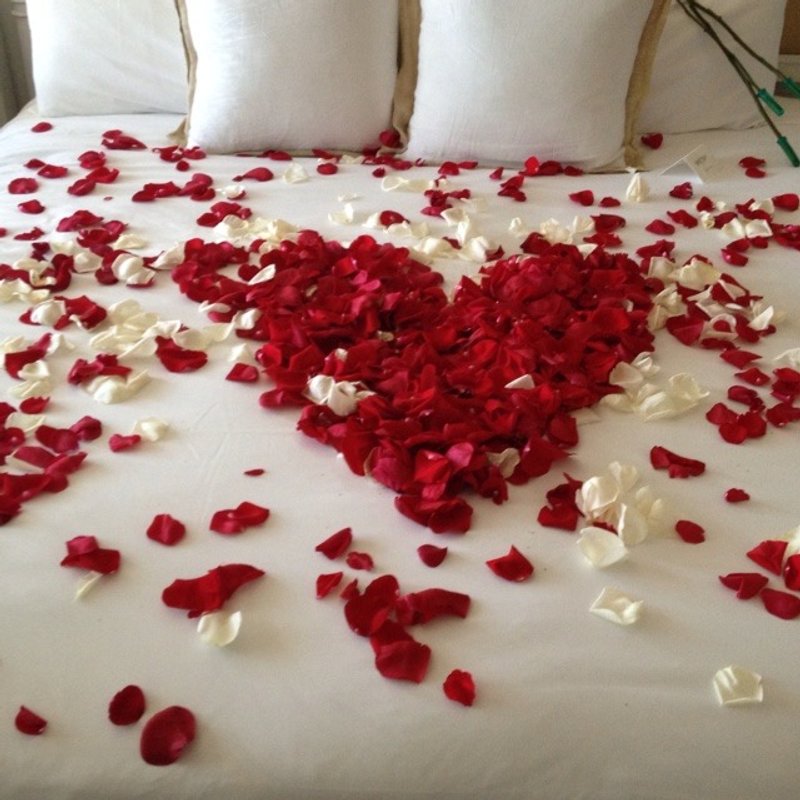 Tiny House Dolce Vita & Spa à Lafrancaise (15)