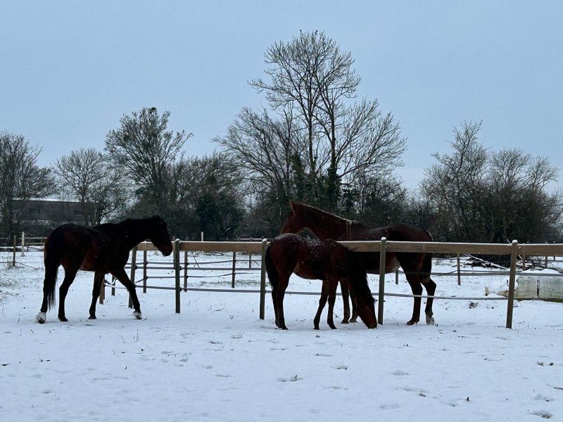Domaine AbracadaRoom : Parcel Tiny House - dans le Perche normand - Image 13