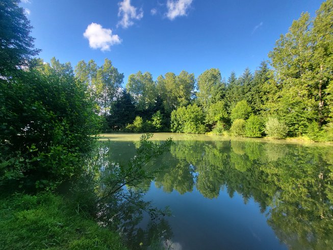 Domaine AbracadaRoom : Bulle DO - Image 4