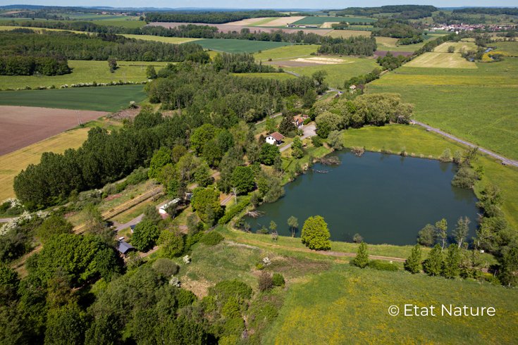 Hébergement AbracadaRoom : La Cabane sur Pilotis Etat Nature - Image 21