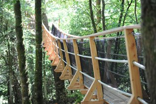 Treehouse Côtes-d'Armor