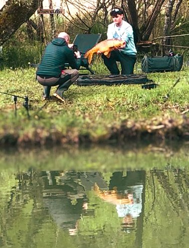 Hébergement AbracadaRoom : La Cabane du Héron, lodge sur pilotis, étang, nature, biodiversité - Image 32