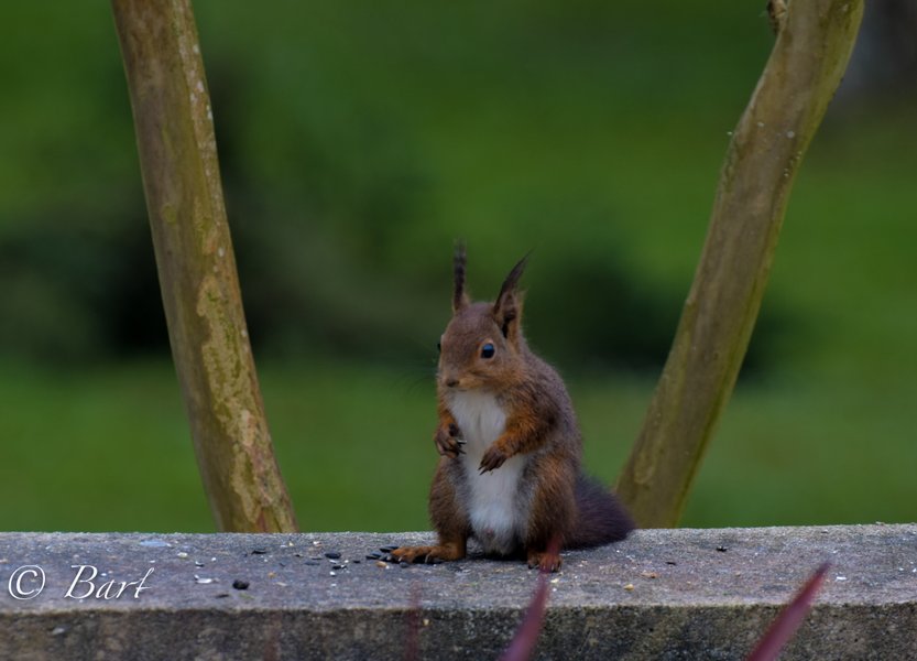 Domaine AbracadaRoom : Le Clos de Cyrano - Image 6