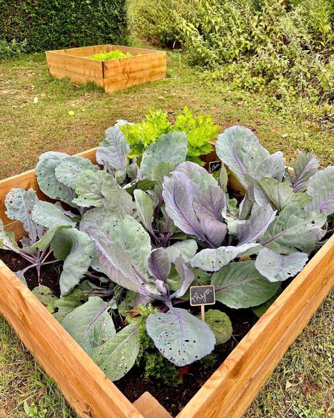 Domaine AbracadaRoom : Seasonova Camping Etennemare - Image 19