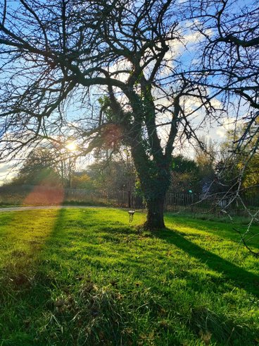 Domaine AbracadaRoom : Le Domaine des Anges - Image 16