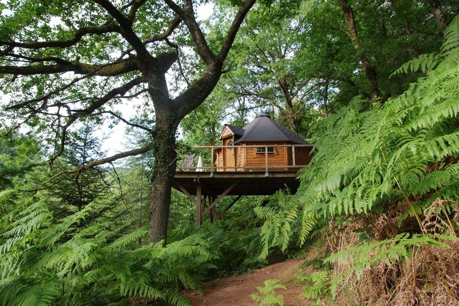 Hébergement AbracadaRoom : Cabane Perchée l'Hirondelle - Image 1