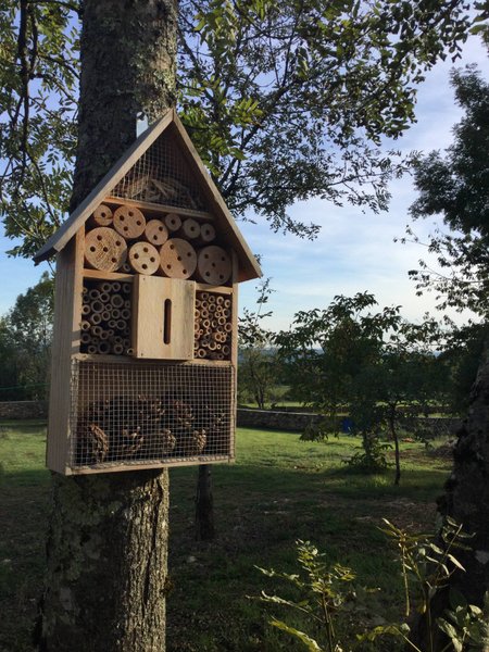 Domaine AbracadaRoom : Mas de Graville Haute - Image 10