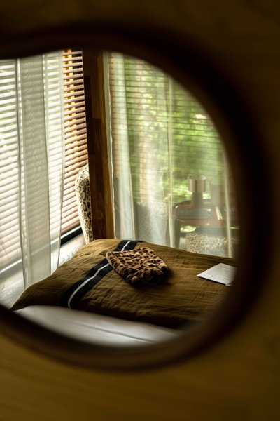 Hébergement AbracadaRoom : Suite «Into the wild» & Spa - Image 8