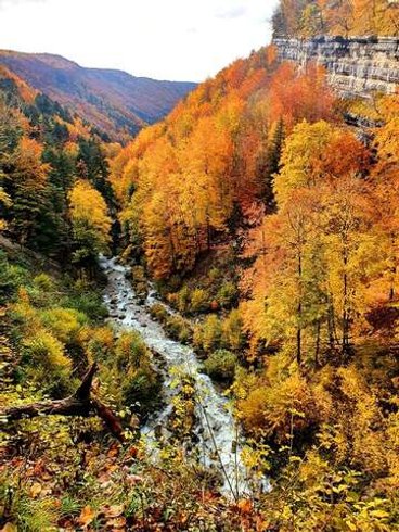 Hébergement AbracadaRoom : Les Logettes de Caroline, Ecolodge & Bain Nordique - Image 21