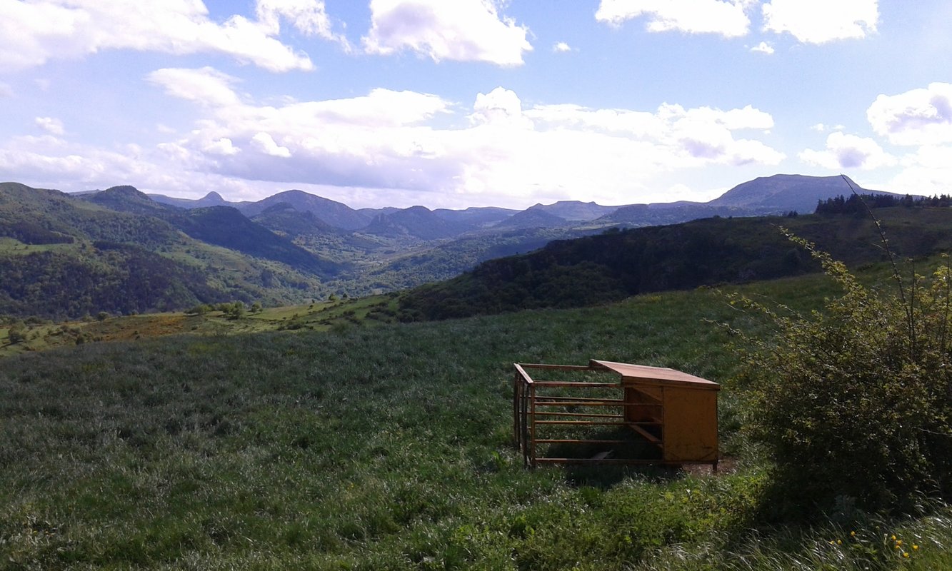 La Clairière de Peylenc - Refuge en Velay à Saint-Pierre-Eynac (5)