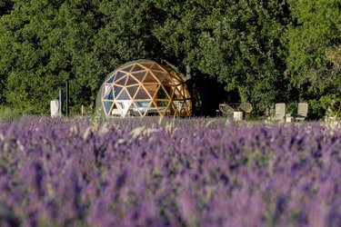 La Bulle du Lavandin à Aix-En-Provence (1)