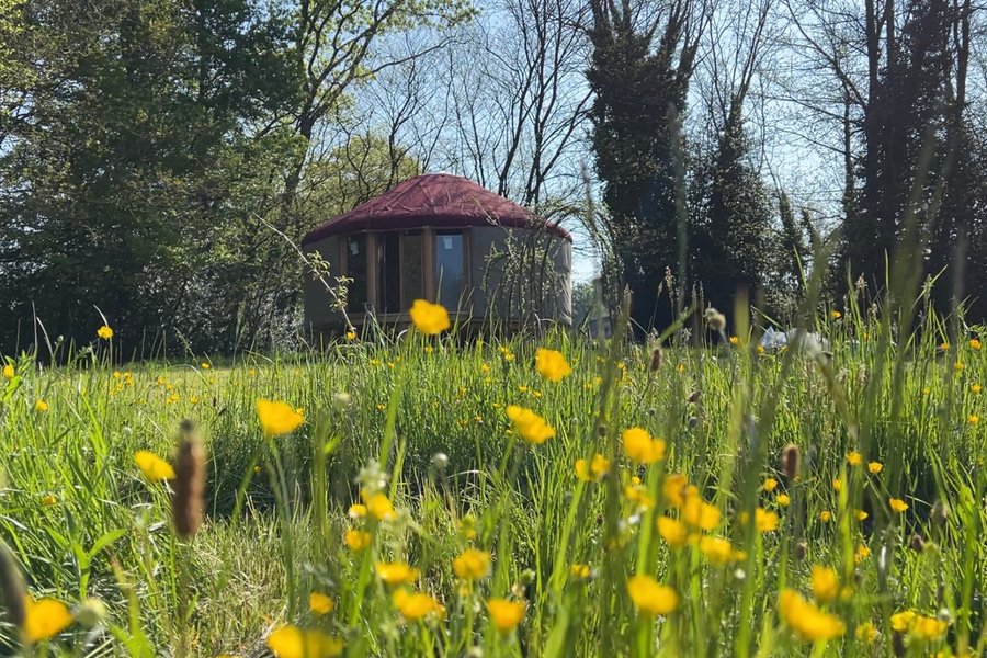 La Main Sauvage - Yourte en Corrèze — photo 2