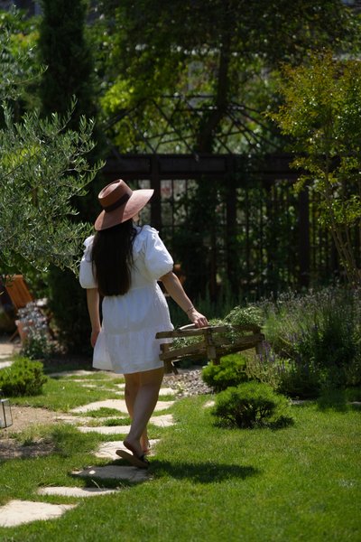 Domaine AbracadaRoom : Santolina Etrusca - Image 2