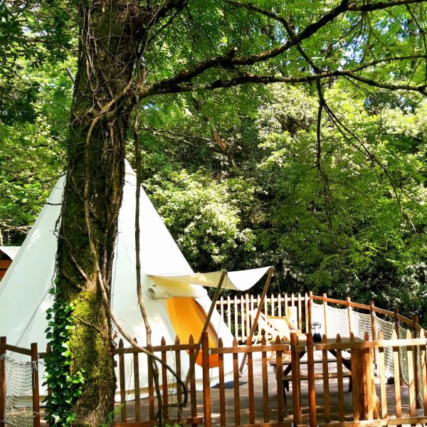 Domaine AbracadaRoom : Le Domaine Insolite à Marie - Image 2