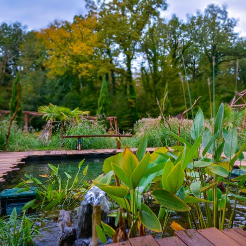 Domaine AbracadaRoom : Ô Pays des bois - Image 11