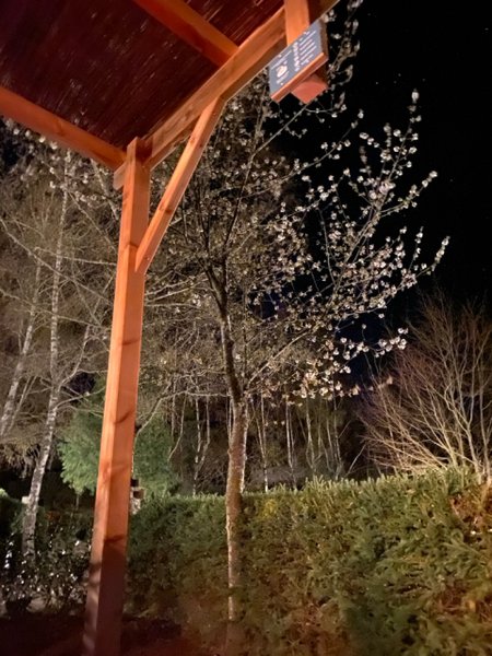 Hébergement AbracadaRoom : HY•Lødge Spa-4pers N°5 (Chalet nature avec spa privatif) - Image 18