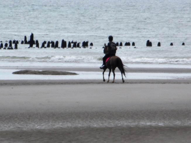 Domaine AbracadaRoom : Domaine d'I.S.A. - Image 7