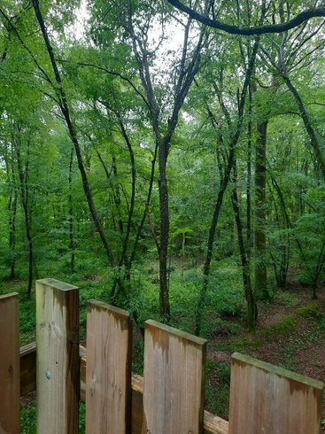 Domaine AbracadaRoom : Cabane de l'Augis nature - Image 5