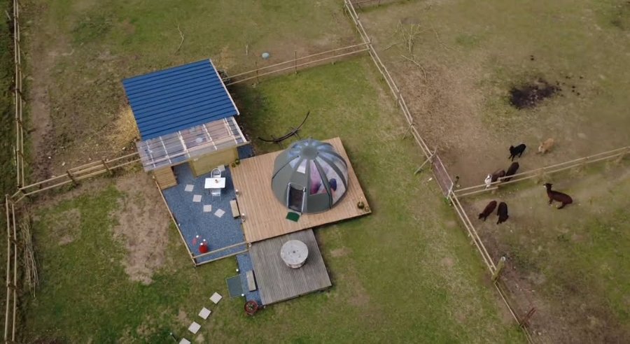 Domaine AbracadaRoom : Les alpagas du clos - Image 3