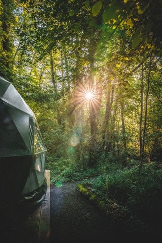 Hébergement AbracadaRoom : Géode Frêne Doré - Image 12