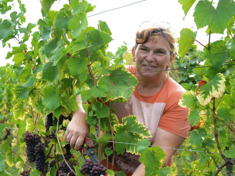 Hébergement AbracadaRoom : L'Inattendue - Image 18