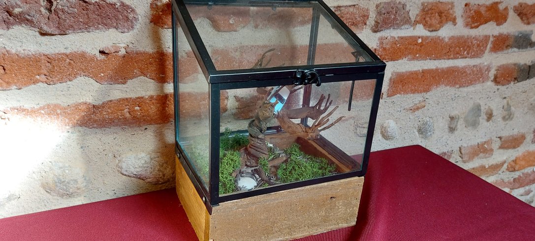 Hébergement AbracadaRoom : Le Sanctuaire des Sorciers - Image 22