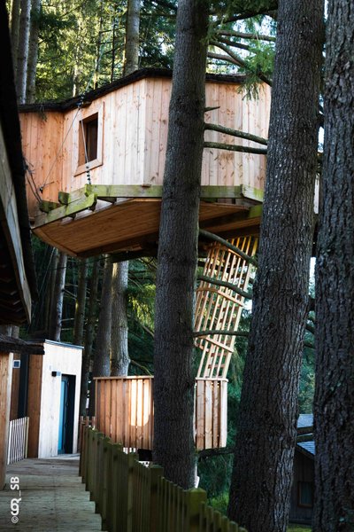 Hébergement AbracadaRoom : Cabane HERON - Séance sauna offerte - Image 1