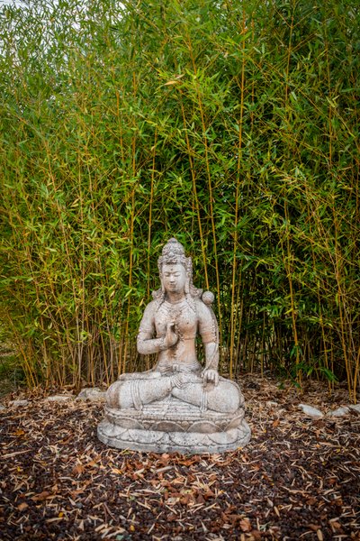 Domaine AbracadaRoom : La Grande Oasis - Image 21