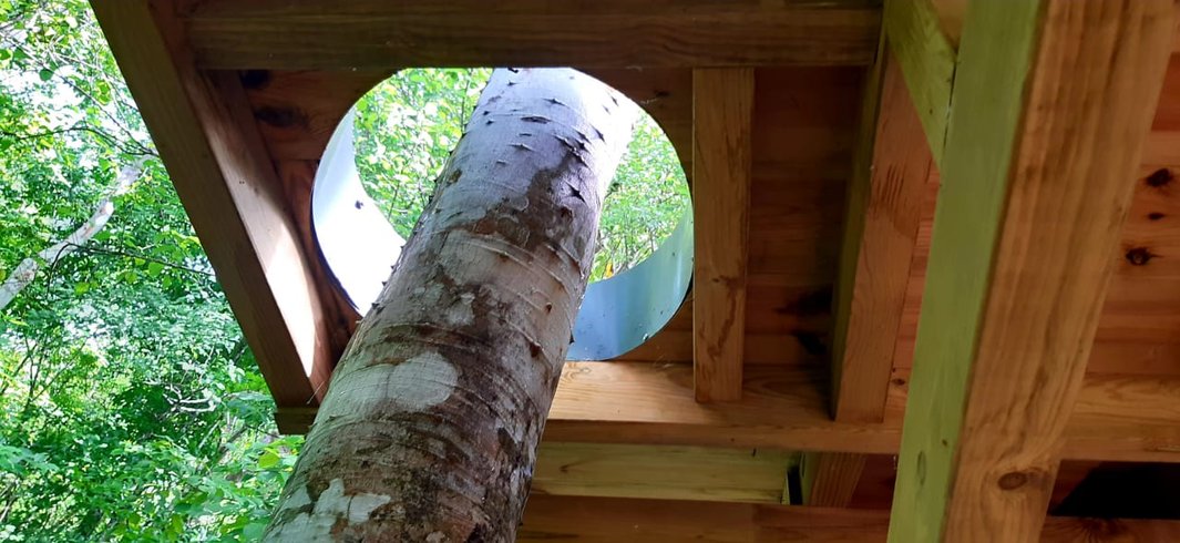 Hébergement AbracadaRoom : Ti Kabane Kaz Zion dans les arbres - Image 15