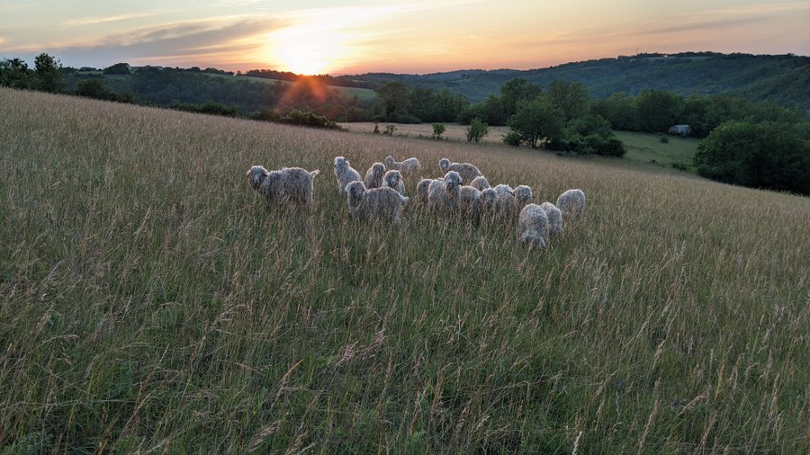 Hébergement AbracadaRoom : Espace TULIPA - Image 14