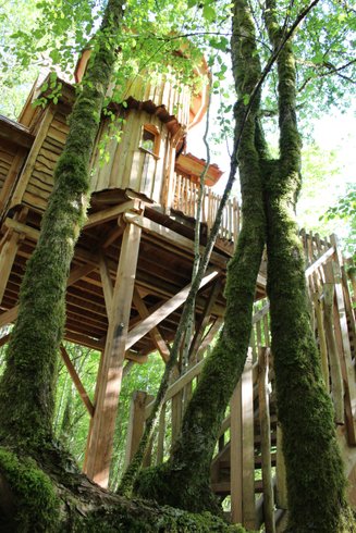 Hébergement AbracadaRoom : Cabane féérique  Spa - Cigogne noire - Image 7