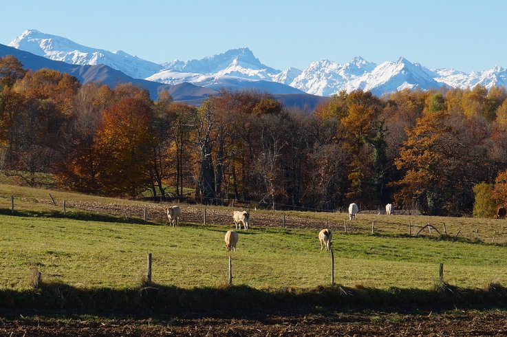 Domaine AbracadaRoom : Cap de Fréchou - Image 2