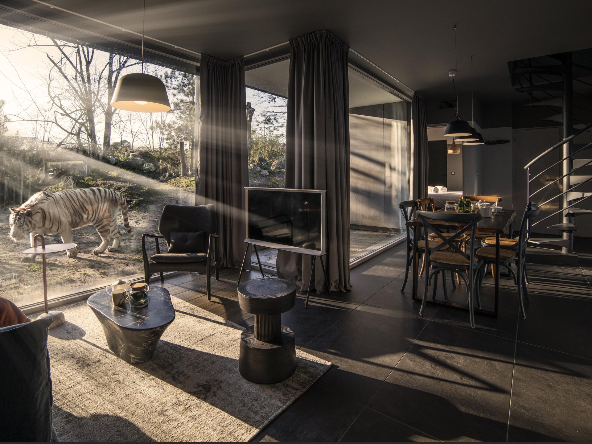 Lodge Tigre blanc & Spa & Dîner - Accès au zoo